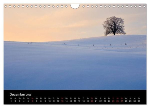 Produktbild: B&auml;ume (Wandkalender 2026 DIN A4 quer), CALVENDO Monatskalender