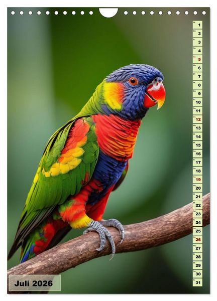 Produktbild: Die buntesten V&ouml;gel der Welt (Wandkalender 2026 DIN A4 hoch), CALVENDO Monatskalender