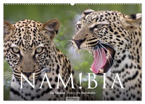 Produktbild: Namibia - Die Tierwelt (Wandkalender 2026 DIN A2 quer), CALVENDO Monatskalender