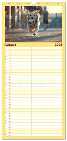 Produktbild: Familienplaner 2026 - Tierische Balljunkies mit 5 Spalten (Wandkalender, 21 x 45 cm) CALVENDO