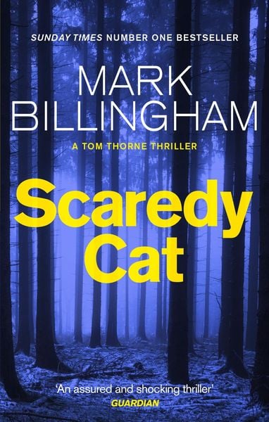 Book cover of Scaredy Cat