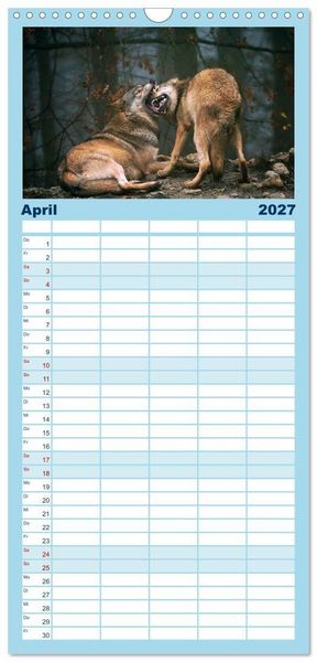 Produktbild: Familienplaner 2027 - Kanadische W&ouml;lfe im Winter mit 5 Spalten (Wandkalender, 21 x 45 cm) CALVENDO