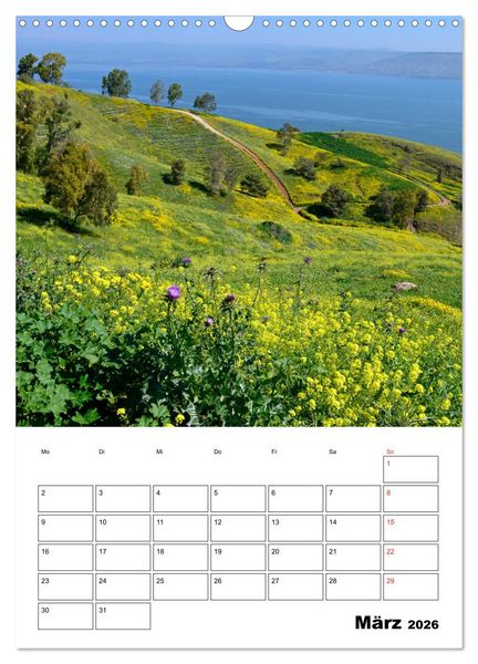 Produktbild: Israel - Der Monatsplaner 2026 (Wandkalender 2026 DIN A3 hoch), CALVENDO Monatskalender