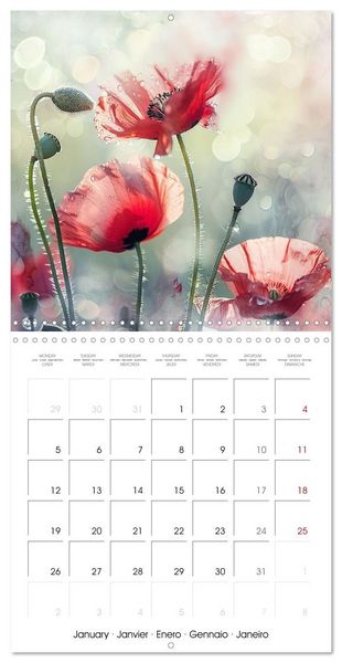 Produktbild: Magical Poppies (Wall Calendar 2026 12 &times; 12 Inch) CALVENDO 12 Month Wall Calendar