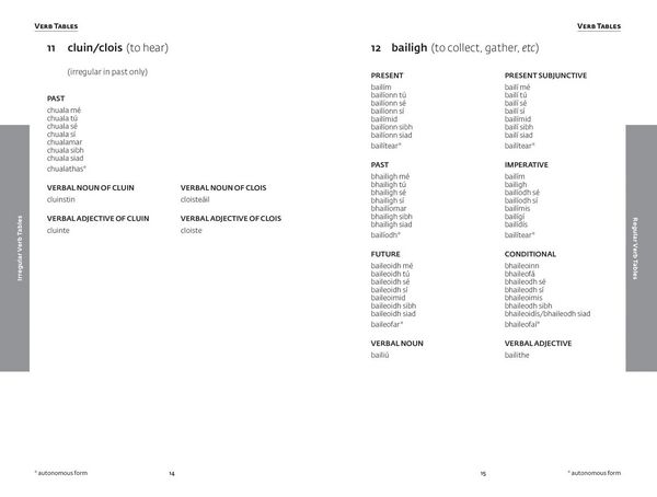 Produktbild: EL IRISH GRAMMAR