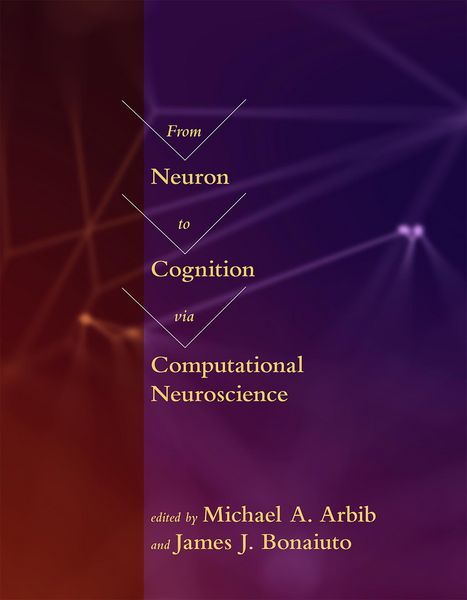 Produktbild: From Neuron to Cognition via Computational Neuroscience