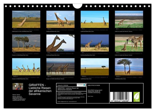 Produktbild: GIRAFFEN - Liebliche Riesen der afrikanischen Savanne (Wandkalender 2026 DIN A4 quer), CALVENDO Monatskalender