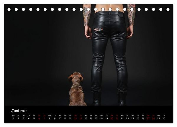 Produktbild: Coole Typen - Rauhaardackel (Tischkalender 2026 DIN A5 quer), CALVENDO Monatskalender