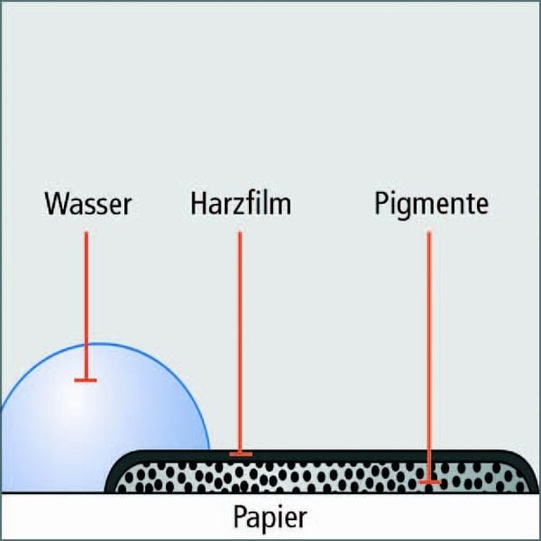 Produktbild: STAEDTLER Finliner pigment liner schwarz 6er Set