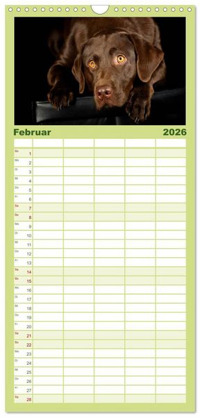 Produktbild: Familienplaner 2026 - Labrador Retriever mit 5 Spalten (Wandkalender, 21 x 45 cm) CALVENDO