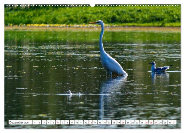 Produktbild: Rund um das Donaudelta (hochwertiger Premium Wandkalender 2026 DIN A2 quer), Kunstdruck in Hochglanz