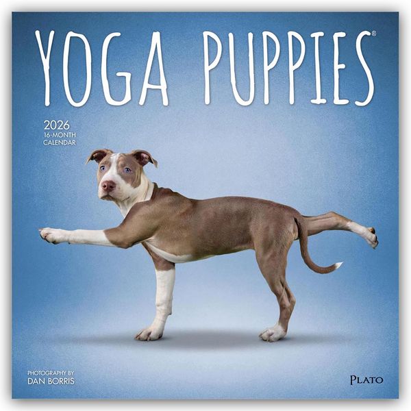 Produktbild: Yoga Puppies &ndash; Welpen Yoga 2026 &ndash; 16-Monatskalender