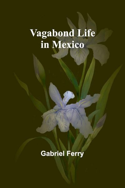 Produktbild: Vagabond Life in Mexico