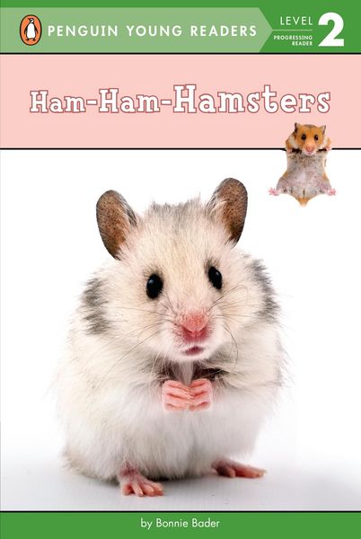 Produktbild: Ham-Ham-Hamsters