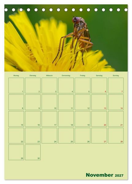 Produktbild: Die Welt der Insekten (Tischkalender 2027 DIN A5 hoch), CALVENDO Monatskalender
