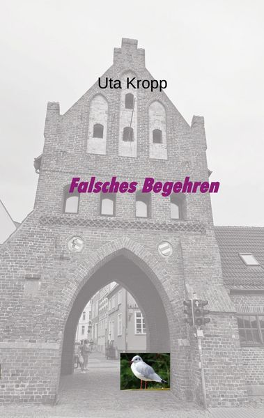 Produktbild: Falsches Begehren