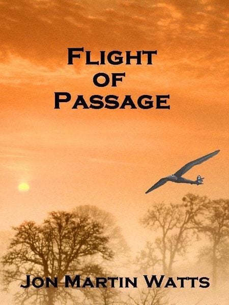 Produktbild: Flight of Passage