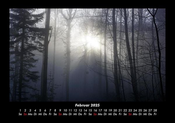 Produktbild: Waldzauber 2025 Fotokalender DIN A3