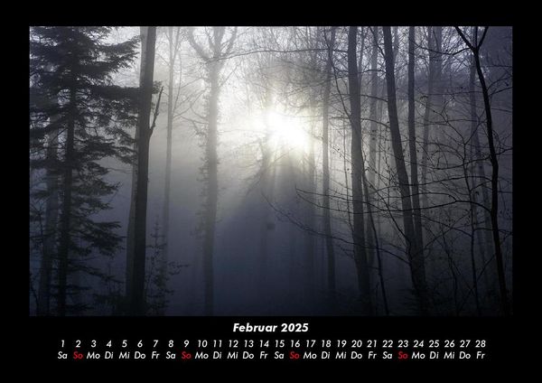 Produktbild: Waldzauber 2025 Fotokalender DIN A3