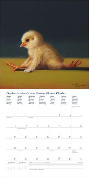 Produktbild: Yoga Chicks 2027