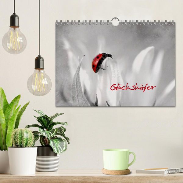 Produktbild: Gl&uuml;cksk&auml;fer (Wandkalender 2026 DIN A4 quer), CALVENDO Monatskalender