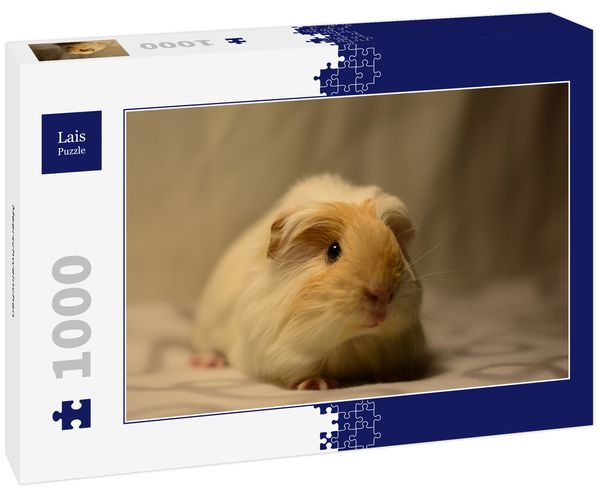 Produktbild: Lais Puzzle Meerschweinchen 1000 Teile