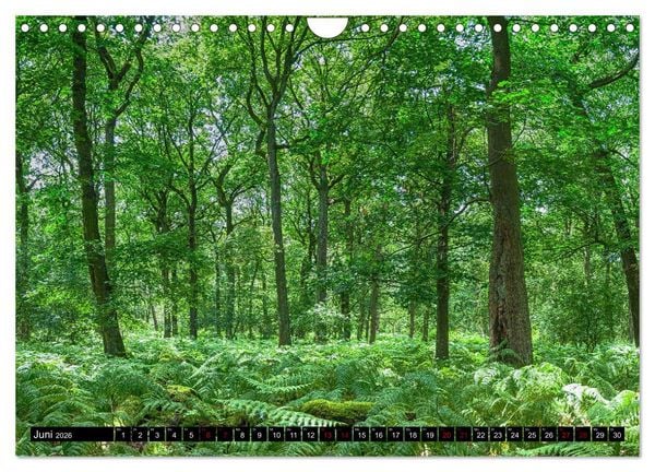 Produktbild: Bottrops sch&ouml;ne Flecken (Wandkalender 2026 DIN A4 quer), CALVENDO Monatskalender