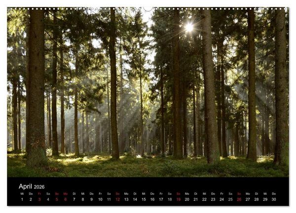 Produktbild: Zauberhafter Bayerischer Wald (Wandkalender 2026 DIN A2 quer), CALVENDO Monatskalender