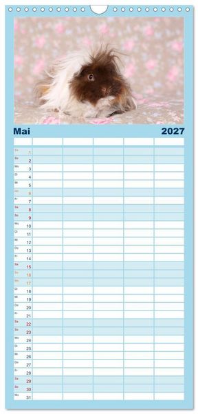 Produktbild: Familienplaner 2027 - Niedliche Meerschweinchen mit 5 Spalten (Wandkalender, 21 x 45 cm) CALVENDO