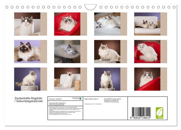 Produktbild: Zauberhafte Ragdolls / Geburtstagskalender (Wandkalender 2026 DIN A4 quer), CALVENDO Monatskalender
