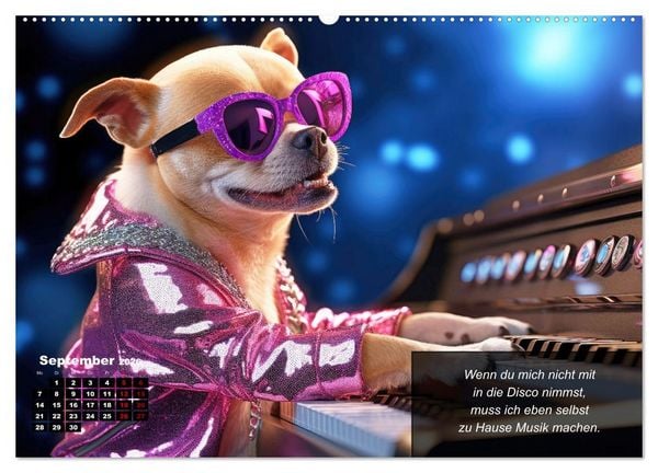 Produktbild: Lustige Chihuahua-Momente (Wandkalender 2026 DIN A2 quer), CALVENDO Monatskalender