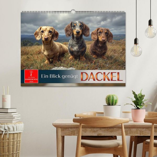 Produktbild: Dackel - ein Blick gen&uuml;gt (Wandkalender 2026 DIN A2 quer), CALVENDO Monatskalender