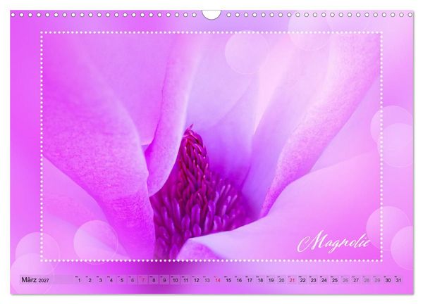 Produktbild: Bl&uuml;tenbouquet (Wandkalender 2027 DIN A3 quer), CALVENDO Monatskalender