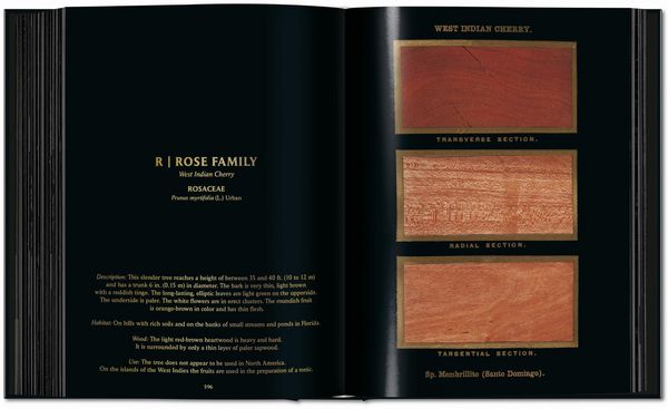 Produktbild: Romeyn B. Hough