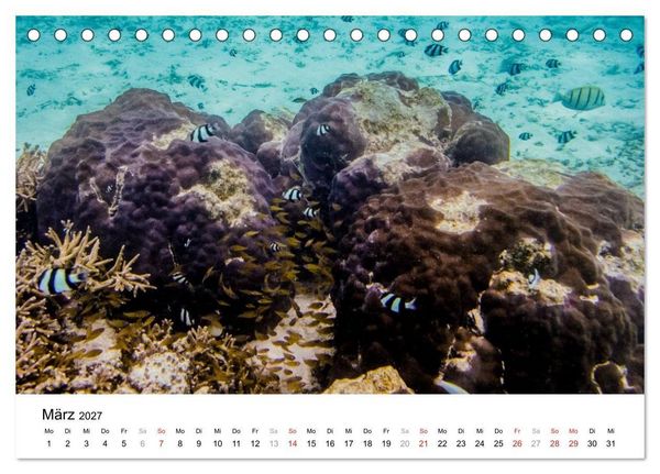 Produktbild: Unterwasserwelt der Malediven II (Tischkalender 2027 DIN A5 quer), CALVENDO Monatskalender