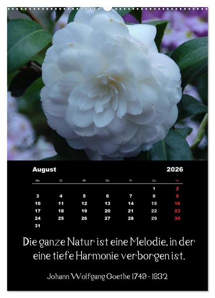 Produktbild: Spr&uuml;che und Zitate ber&uuml;hmter Personen &uuml;ber Blumen und Natur (hochwertiger Premium Wandkalender 2026 DIN A2 hoch), Kunstdruck in Hochglanz