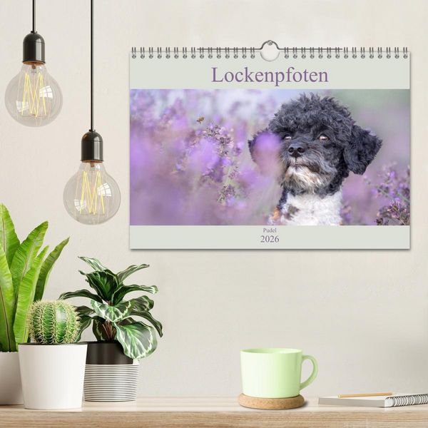 Produktbild: Lockenpfoten 2026 (Wandkalender 2026 DIN A4 quer), CALVENDO Monatskalender