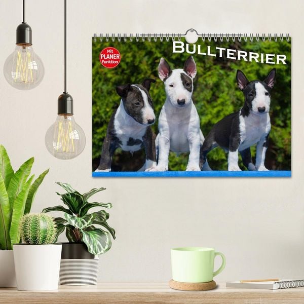 Produktbild: Bullterrier (Wandkalender 2026 DIN A4 quer), CALVENDO Monatskalender