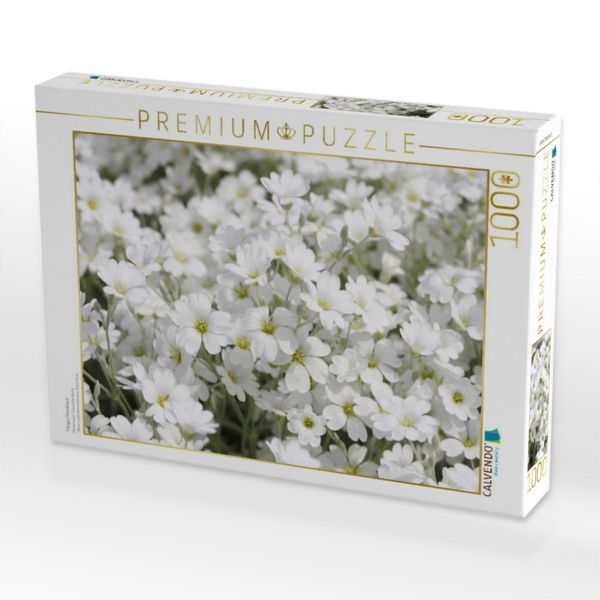 Produktbild: CALVENDO Puzzle Filziges Hornkraut | 1000 Teile Lege-Gr&ouml;&szlig;e 64x48cm Foto-Puzzle f&uuml;r gl&uuml;ckliche Stunden