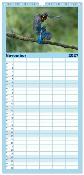 Produktbild: Familienplaner 2027 - Alcedo atthis. Der Eisvogel mit 5 Spalten (Wandkalender, 21 x 45 cm) CALVENDO