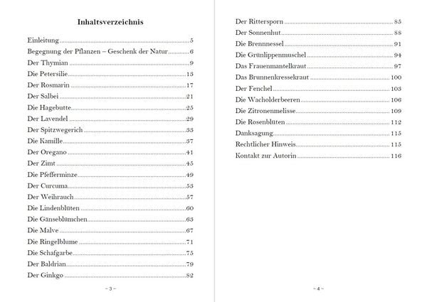 Produktbild: Fantasiereisen zu den Kr&auml;ften der Natur