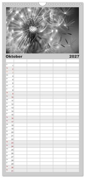 Produktbild: Familienplaner 2027 - Pusteblume - Impressionen in schwarzwei&szlig; mit 5 Spalten (Wandkalender, 21 x 45 cm) CALVENDO
