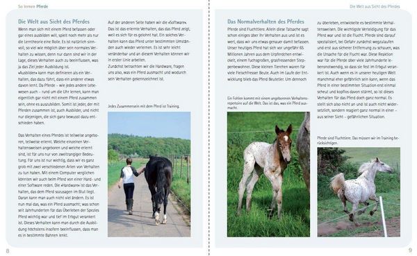 Produktbild: So lernen Pferde