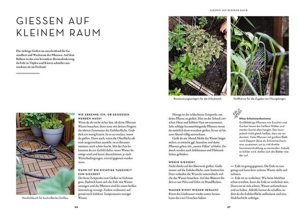 Produktbild: Selbstversorgung aus dem Balkon-Hochbeet