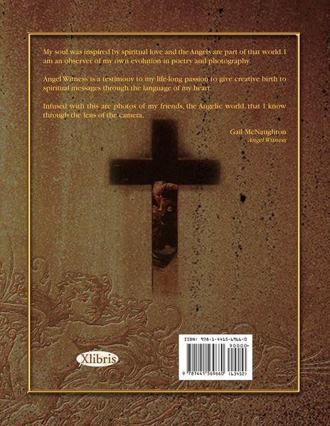Produktbild: Angel Witness