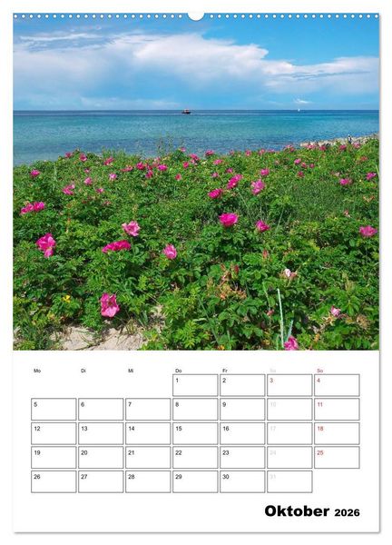 Produktbild: R&uuml;gen und Hiddensee - Bilder eines Sommers / Planer (Wandkalender 2026 DIN A2 hoch), CALVENDO Monatskalender