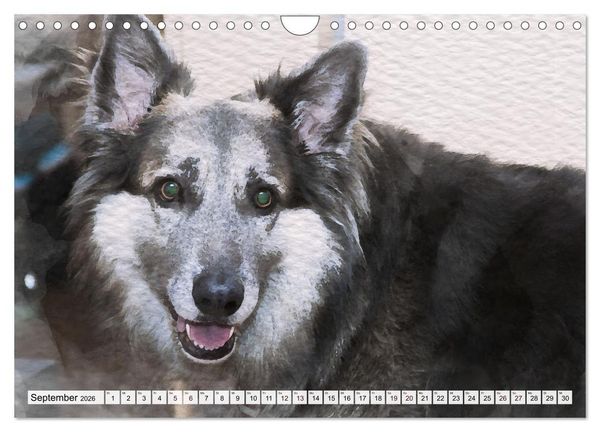 Produktbild: Niedliche Hunde - Digitale Aquarelle (Wandkalender 2026 DIN A4 quer), CALVENDO Monatskalender