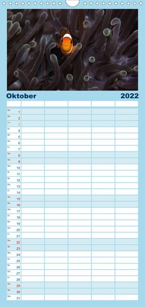 Produktbild: Tauchen, Fische und Meer - Familienplaner hoch (Wandkalender 2022 , 21 cm x 45 cm, hoch)