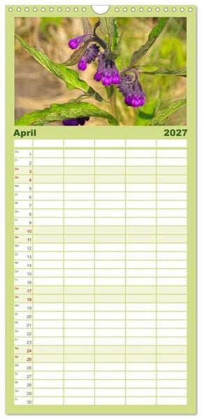 Produktbild: Familienplaner 2027 - Arzneipflanzen mit 5 Spalten (Wandkalender, 21 x 45 cm) CALVENDO