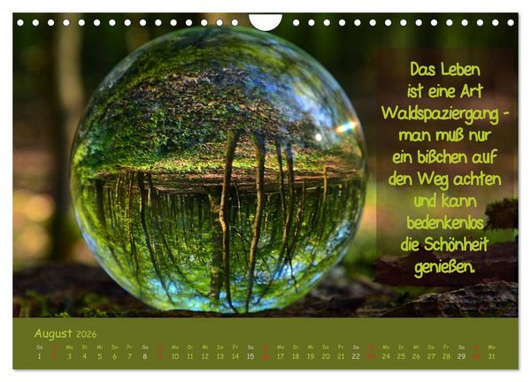 Produktbild: Wunderbare Waldkugeln (Wandkalender 2026 DIN A4 quer), CALVENDO Monatskalender